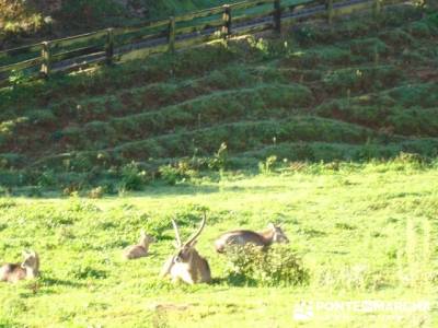Parque de la Naturaleza de Cabárceno - Cantur - Cantabria; turismo de naturaleza españa